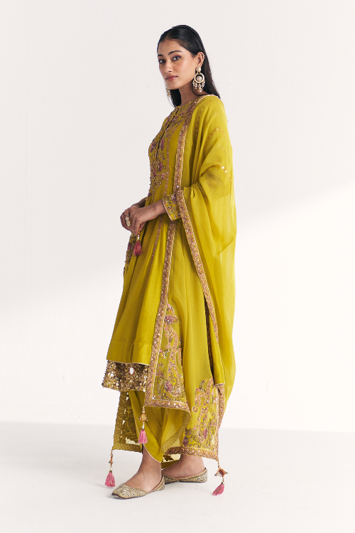 Chitra Lime Green Anarkali